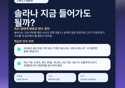 솔라나 지금 들어가도 될까? 속도·생태계·변동성 변수 정리 featured