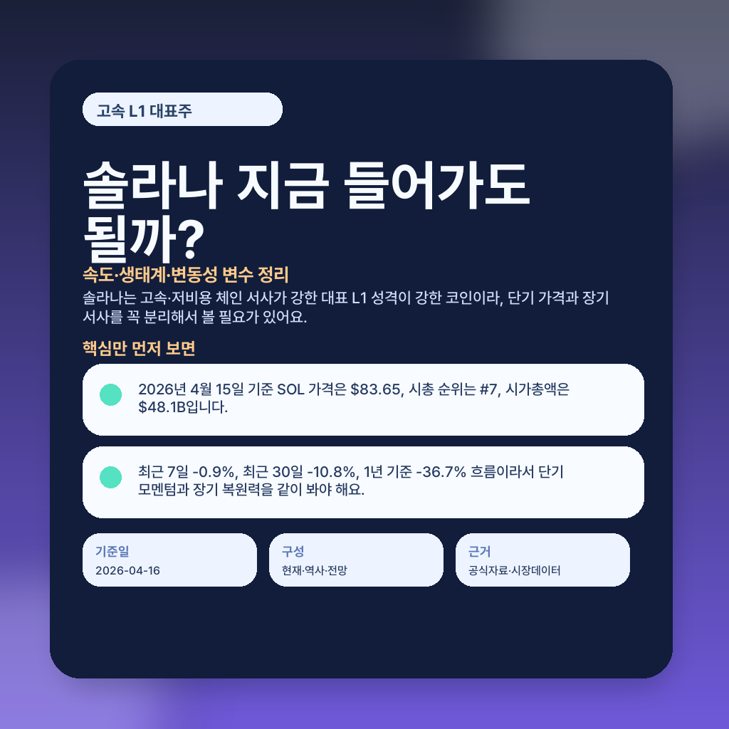 솔라나 지금 들어가도 될까? 속도·생태계·변동성 변수 정리