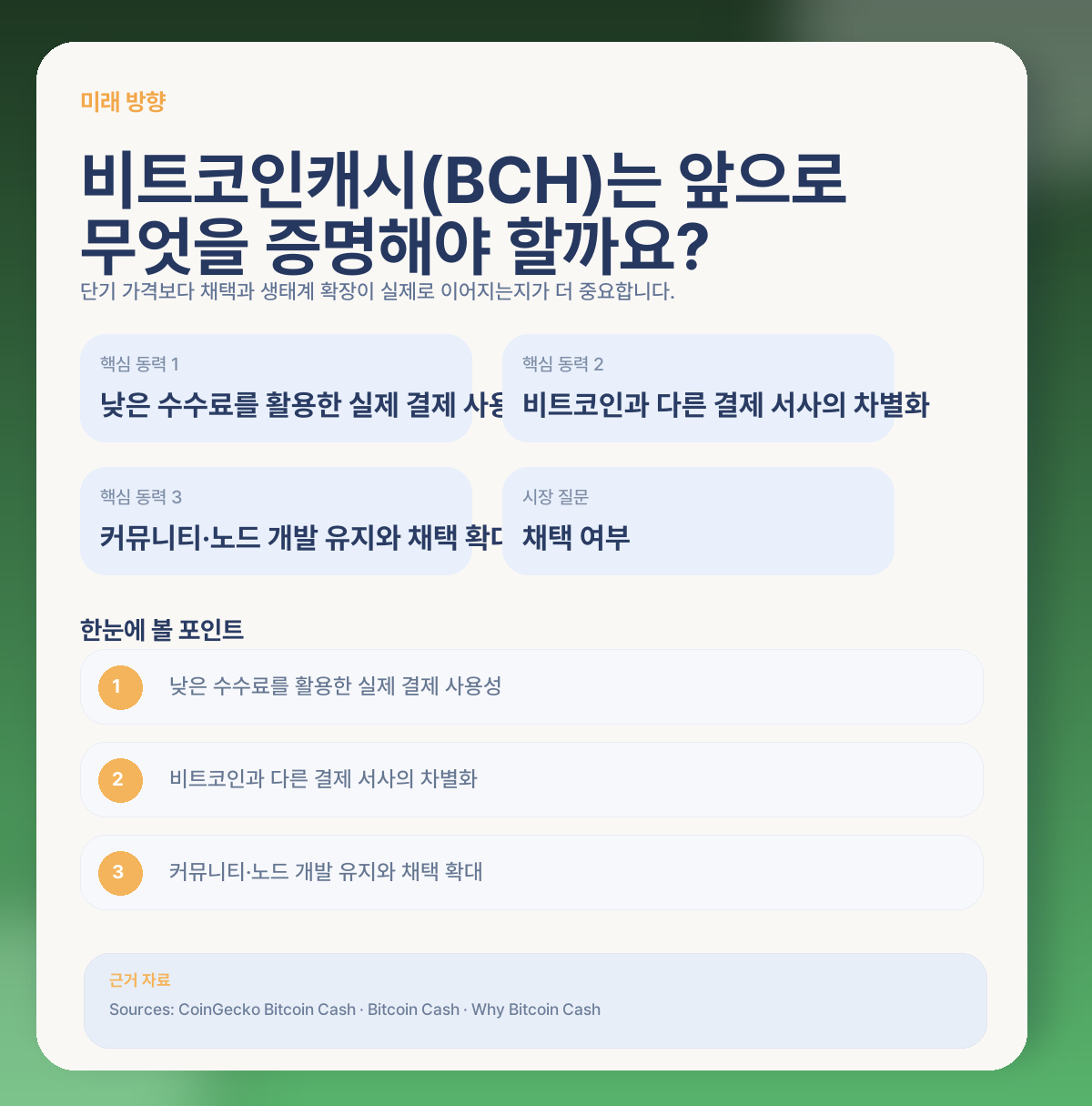 🔮 앞으로 비트코인캐시(BCH)는 어떤 방향을 기대할 수 있을까요?