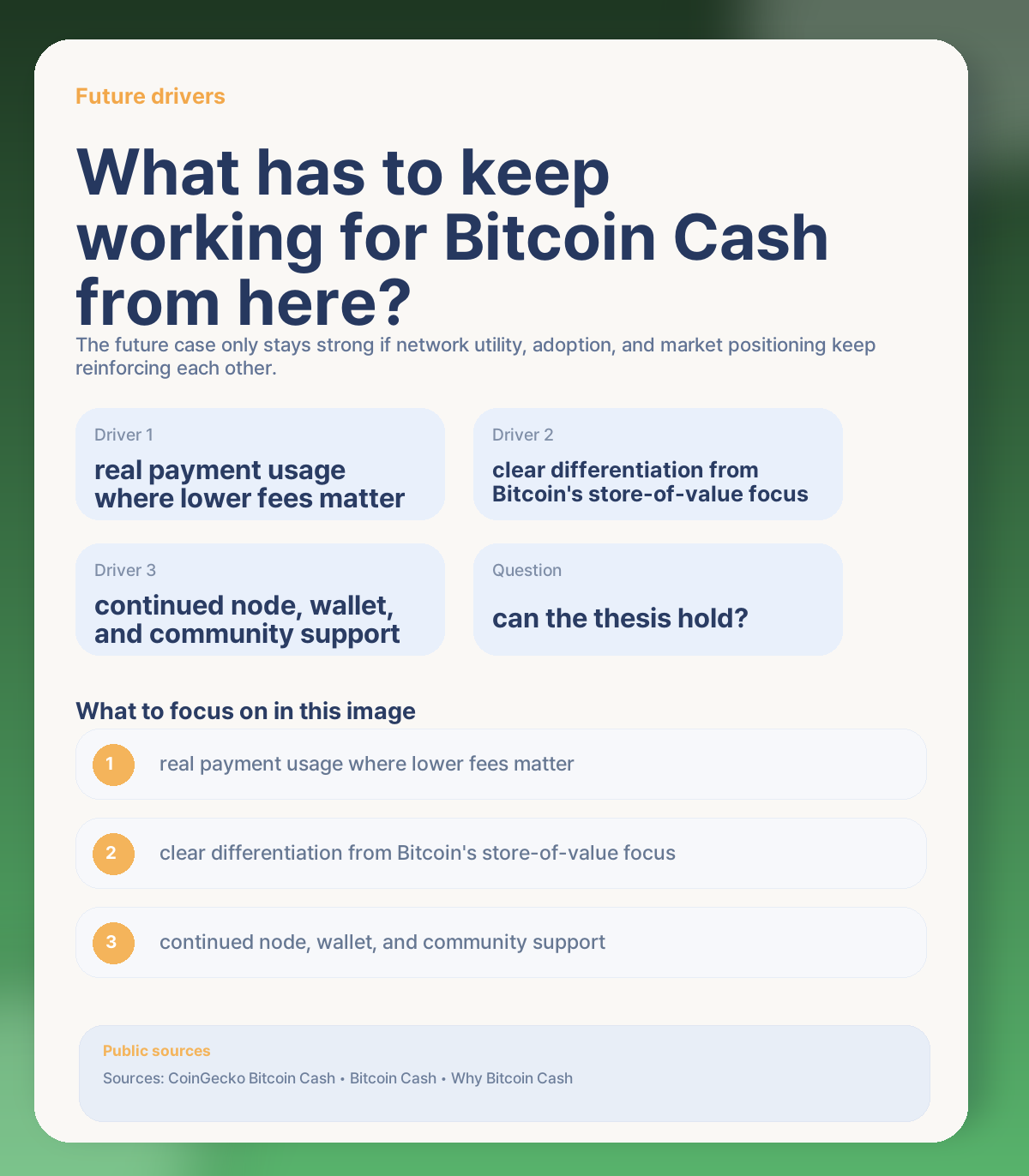 🔭 Long-term outlook: what could keep Bitcoin Cash strong from here?