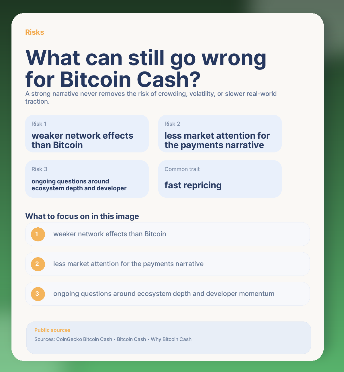 ⚠️ Short-term risks: what could still go wrong for Bitcoin Cash?