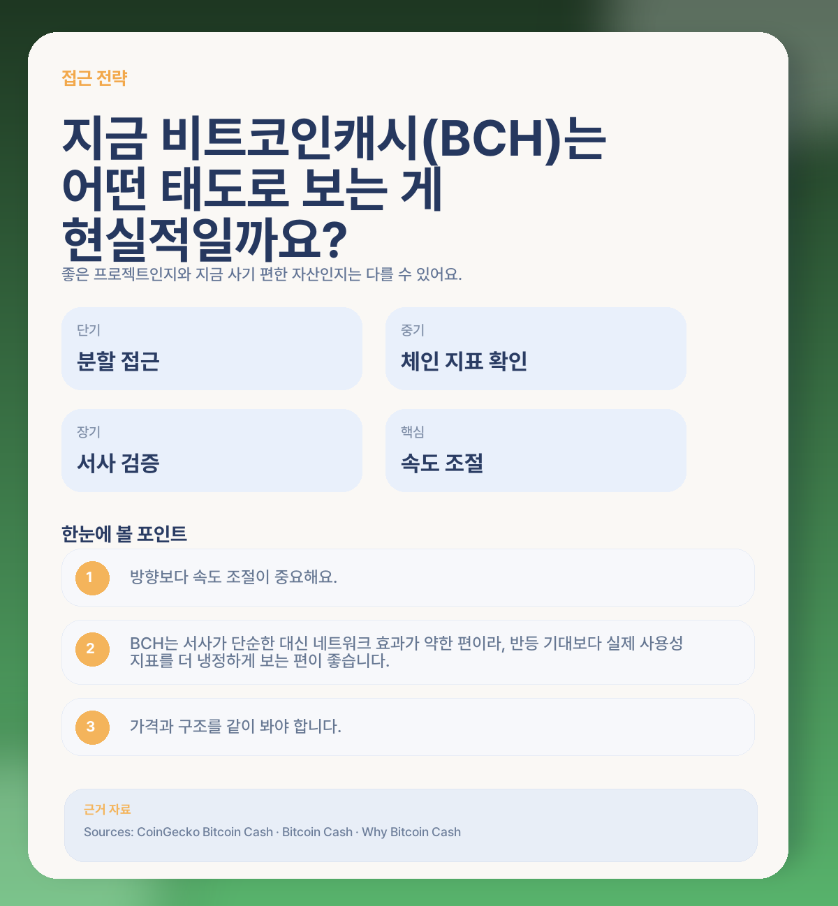 🧭 그럼 지금 비트코인캐시(BCH)는 어떻게 접근하는 게 현실적일까요?