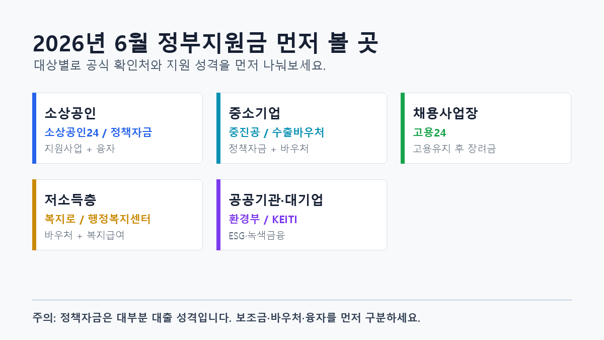 2026년 6월 정부지원금 대상별 공식 확인처 안내 인포그래픽